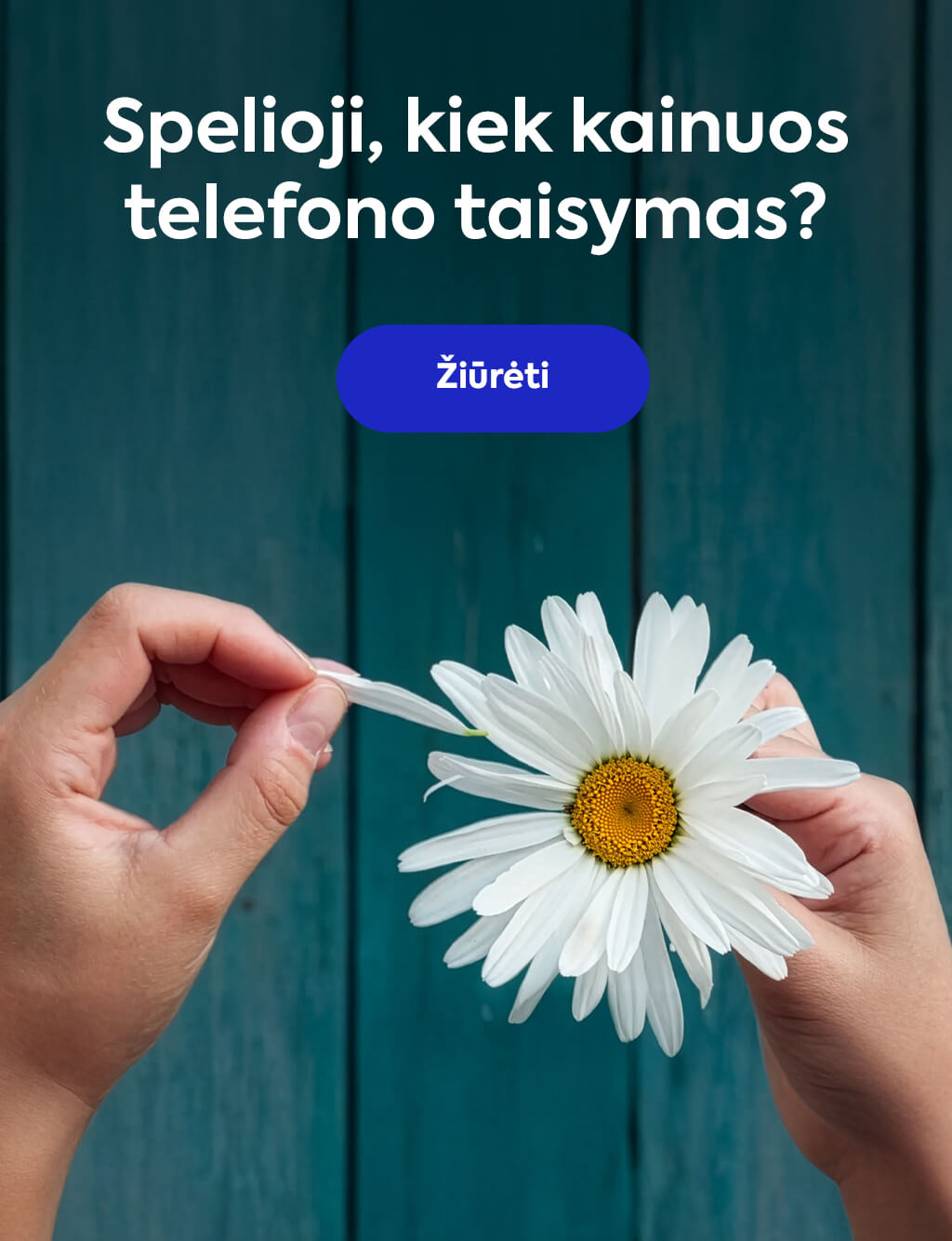 Spėlioji, kiek kainuos telefono taisymas?
