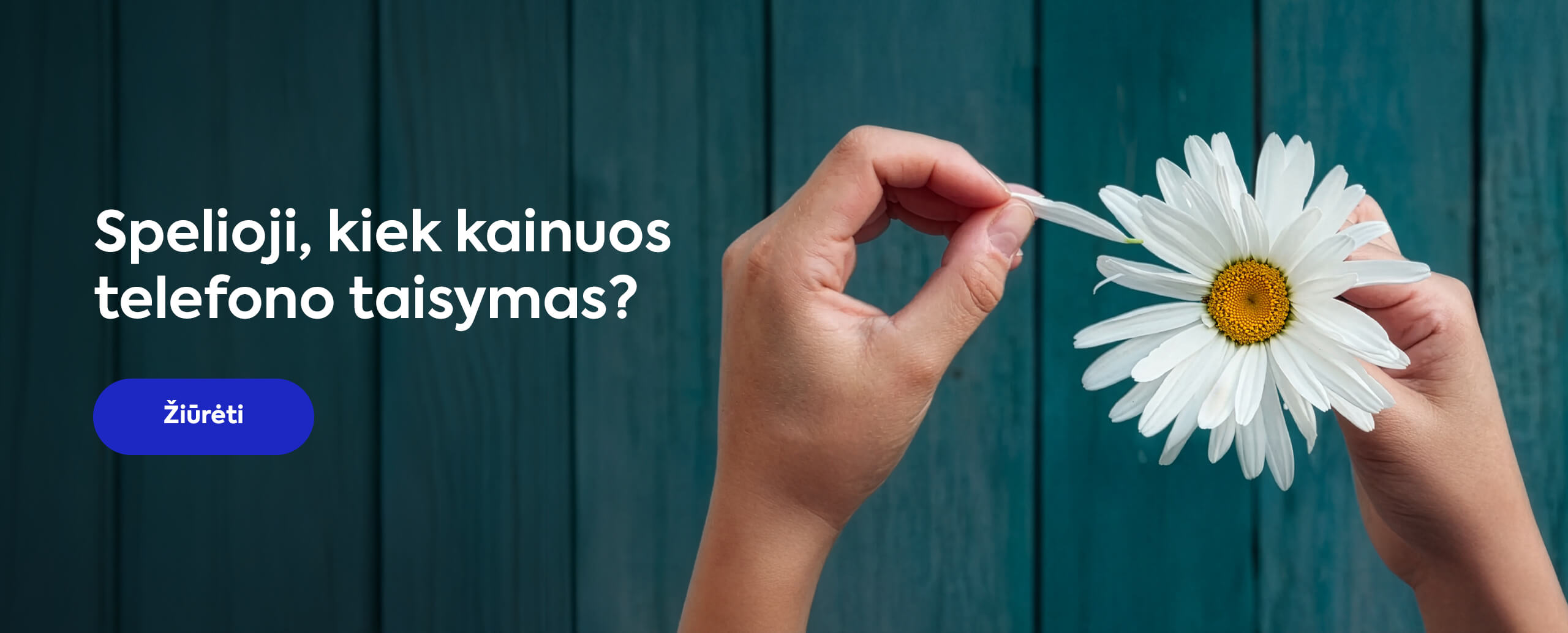 Spėlioji, kiek kainuos telefono taisymas?